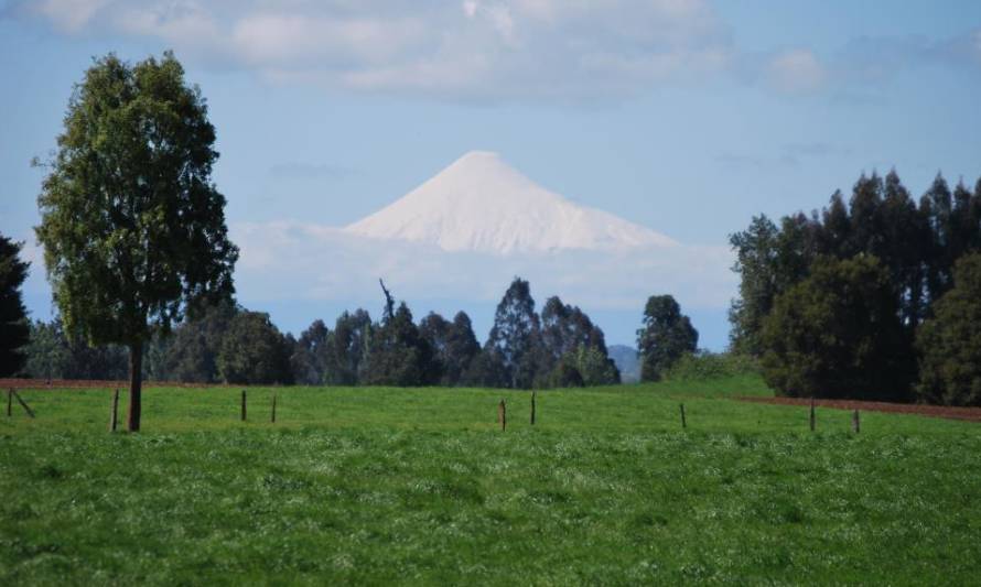 Realizarán seminario sobre pérdidas de nitrógeno en suelos volcánicos del sur de Chile