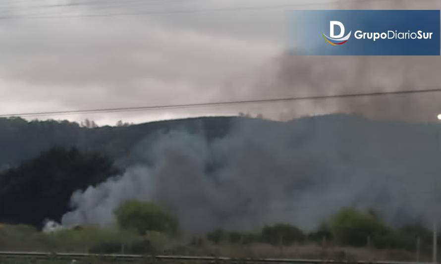 Alarma de bomberos por incendio de pastizales en Paillaco