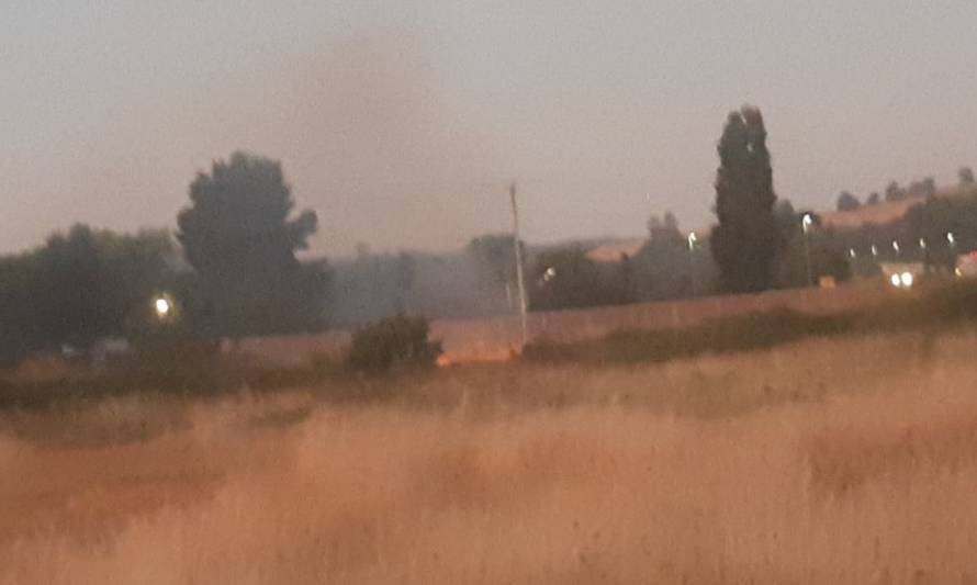 Se reportó leve incendio de pastizales en Paillaco
