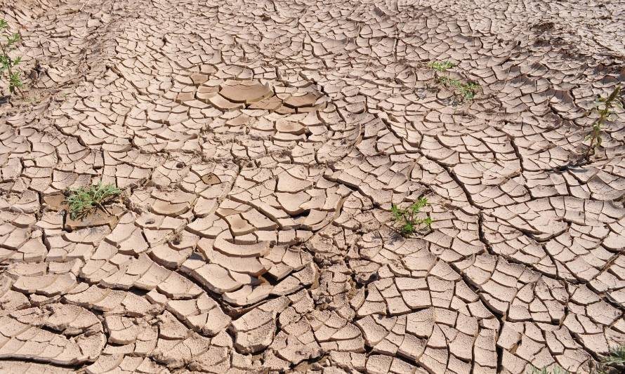 ONU alerta sobre efectos de la mega sequía en Chile