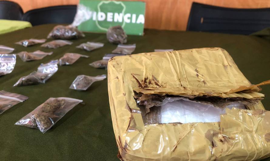 Perrito "Fender" detectó más de medio kilo de droga en bus interprovincial  