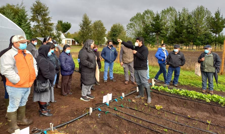 Más de 100 personas participaron en los días de campo de producción de hortalizas y cultivos con manejo agroecológico en Los Ríos