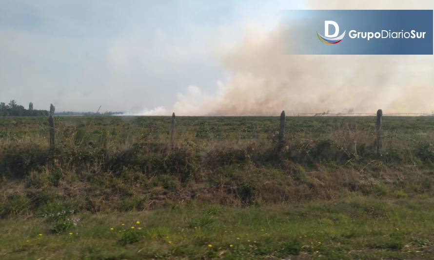 Reportan incendio en pastizales de Paillaco