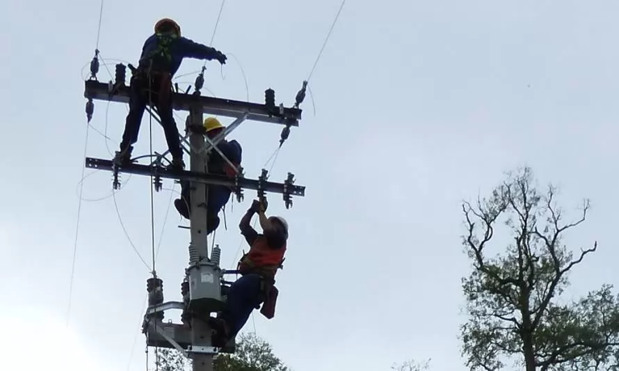 Socoepa trabaja para reponer servicio eléctrico en sectores de Paillaco y Futrono