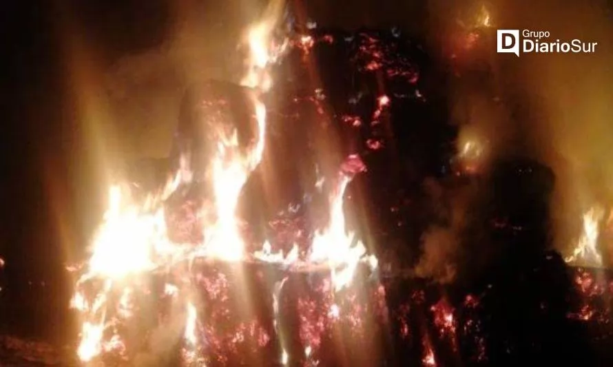 Incendio consumió un centenar de bolos en el sector Pindaco de Río Bueno