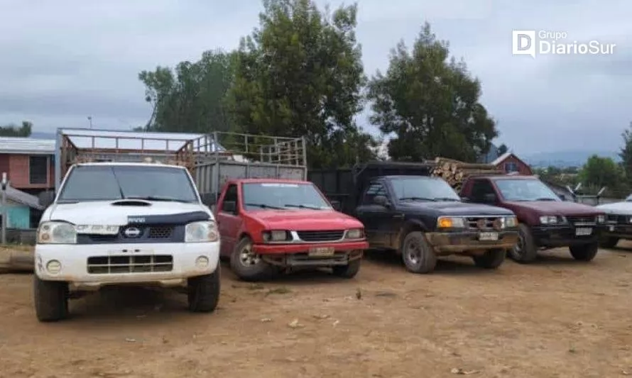 Cuatro detenidos por sustracción de madera en Paillaco