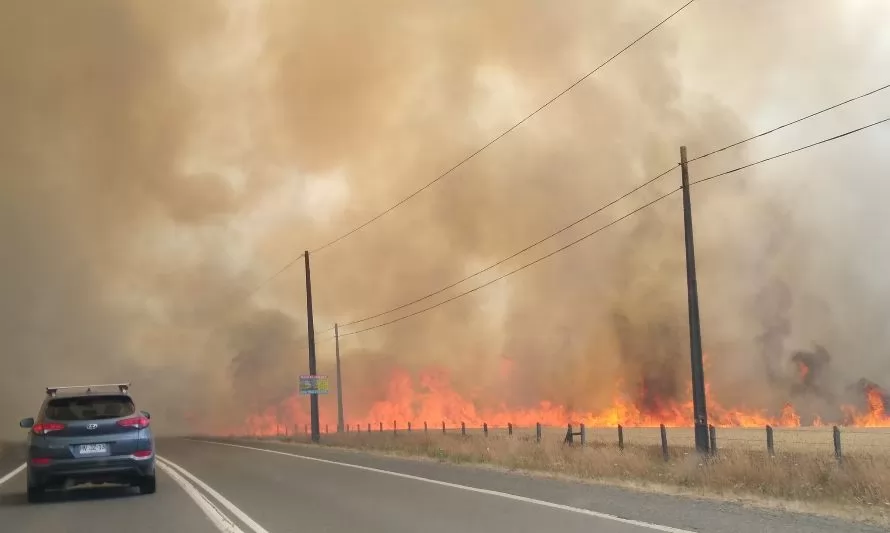 Bomberos combate incendio en plantación de trigo en ruta Valdivia-Mariquina