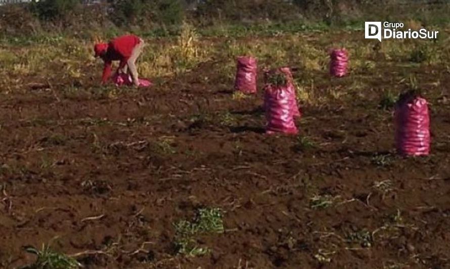 Gobierno Regional anuncia millonario apoyo a la agricultura de subsistencia y uso doméstico del agua