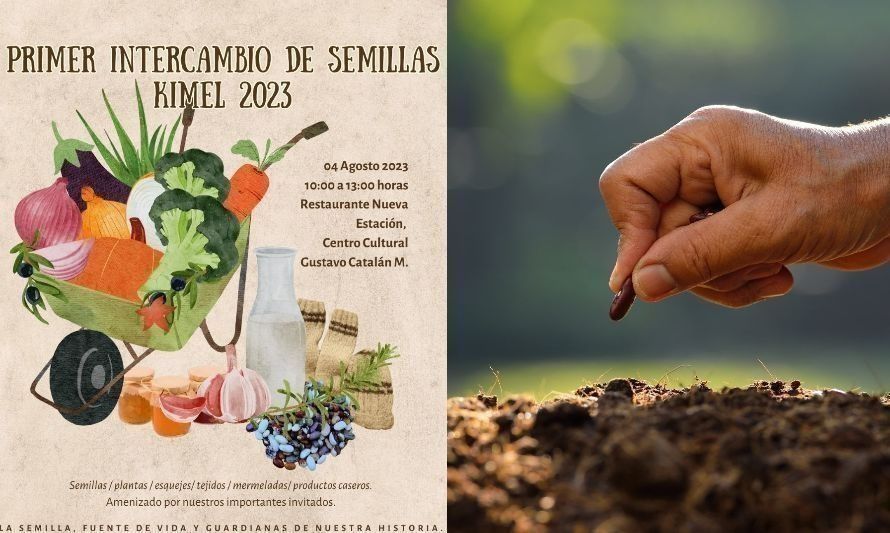Invitan a paillaquinos al "Primer Intercambio de Semillas Kimel 2023" 