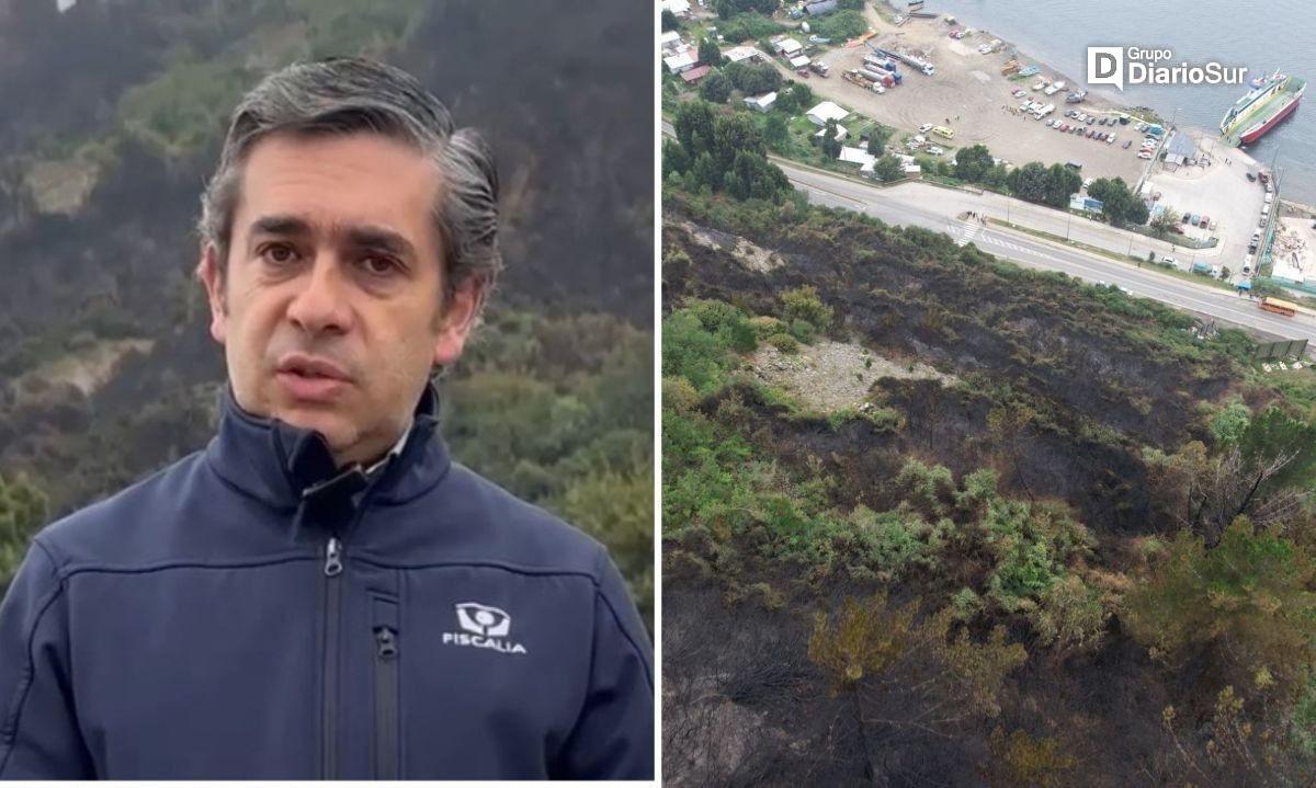 Fiscalía realiza peritajes en terreno por incendio forestal en Niebla