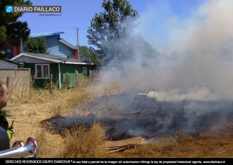 Incendio de pastizales puso en peligro viviendas del sector norte de Paillaco