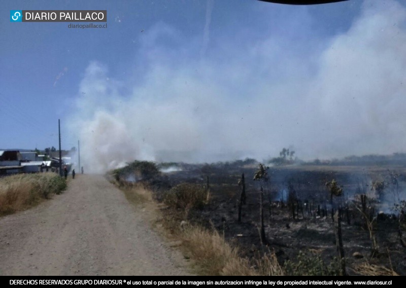 Incendio forestal consumió casi 4 hectáreas de pastizales en la pampa Perinetti