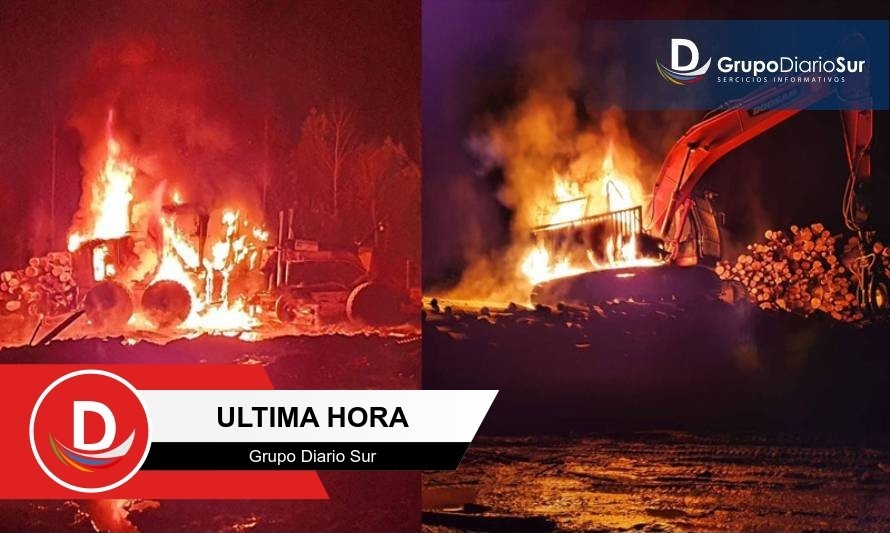 Intendencia confirma ataque incendiario al sur de Valdivia 