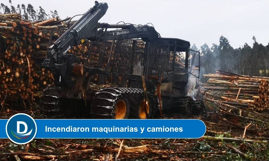 Forestal osornina sufrió millonarias pérdidas tras atentado en Panguipulli