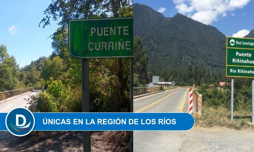 Riñinahue y Curriñe: Dos localidades de Los Ríos donde ganó el Rechazo