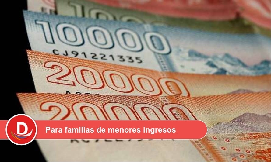 Nuevo Ingreso Familiar de Emergencia será de 100 mil pesos por miembro de hogar 