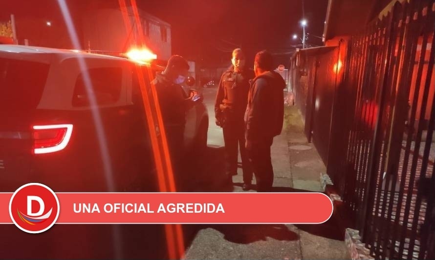 12 detenidos: Carabineros tuvo dura ronda nocturna en Población Menzel de Valdivia