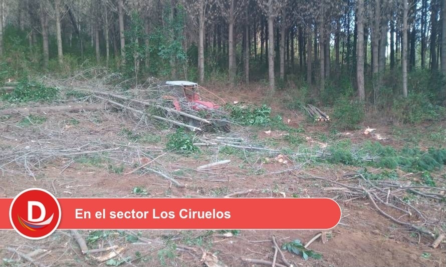 Tractorista falleció durante faena forestal en Los Lagos
