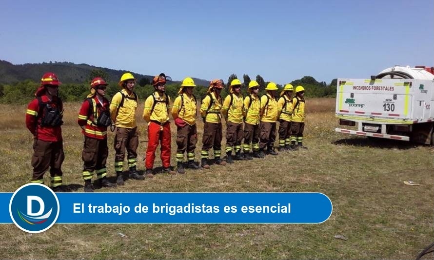 Conaf Los Ríos llama a prevenir incendios forestales: “Enfrentaremos un periodo complejo”