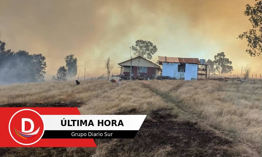 Fuera de control: incendio forestal amenaza casas en Paillaco