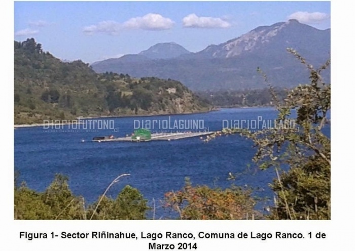 Club de Montaña Mawidache de Futrono solicitó la caducidad para centros salmoneros en el Lago Ranco