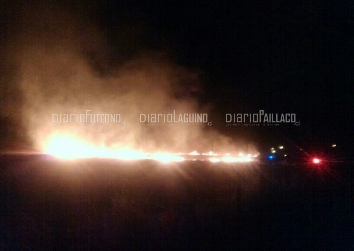 Gran incendio forestal afecta a Fundo Bellavista en Cerro Pichipaillaco