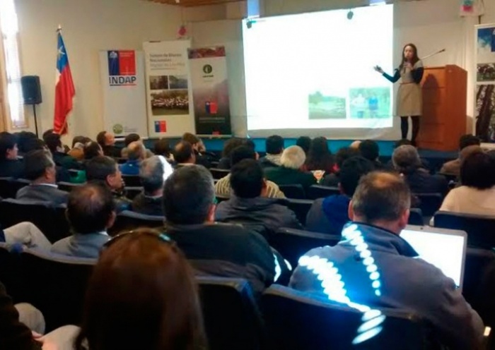 Seminario Bosques y Desarrollo Regional reunió a diversas entidades del mundo silvoagropecuario en Llifén