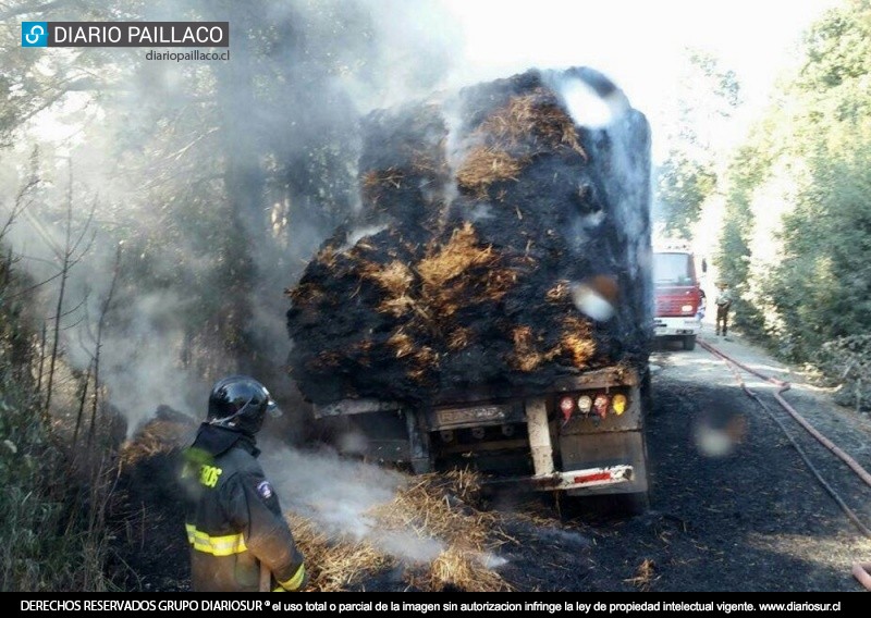 Cinco incendios de pastizales afectan distintos sectores rurales de Paillaco 