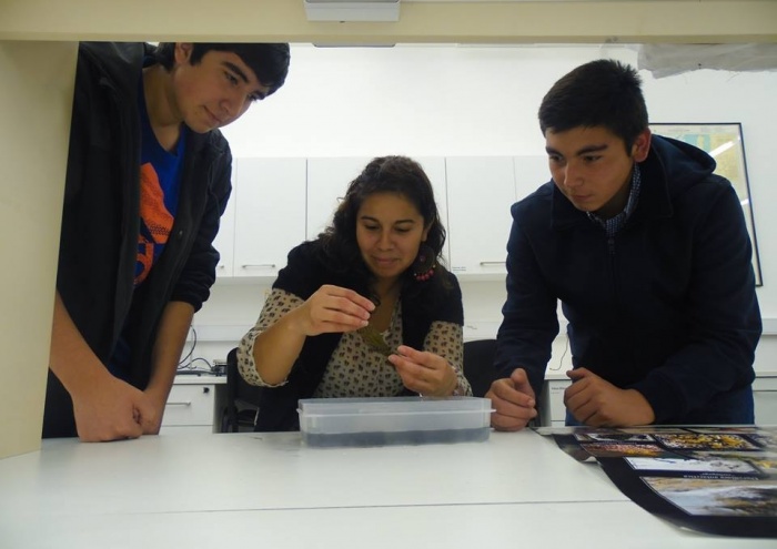 Estudiantes del Liceo Rodulfo Amando Philippi participan en proyecto junto a científicos de categoría mundial