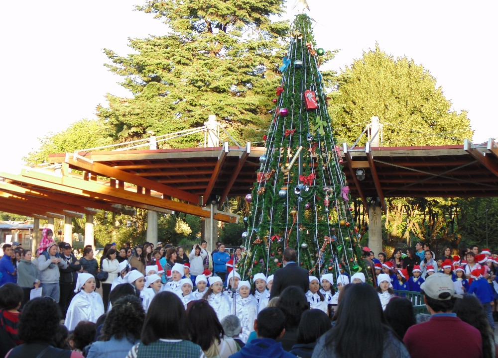  Familias de Paillaco disfrutaron la ceremonia de instalación y encendido del árbol de Navidad
