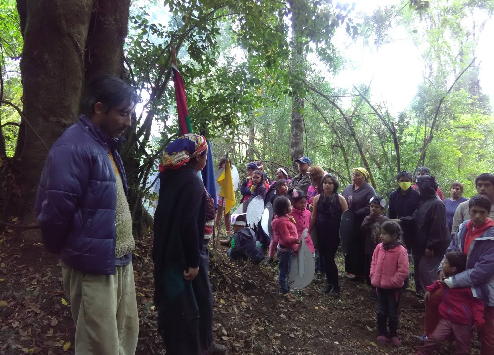 Niños, niñas y jóvenes mapuche de Paillaco recibieron conocimientos ancestrales