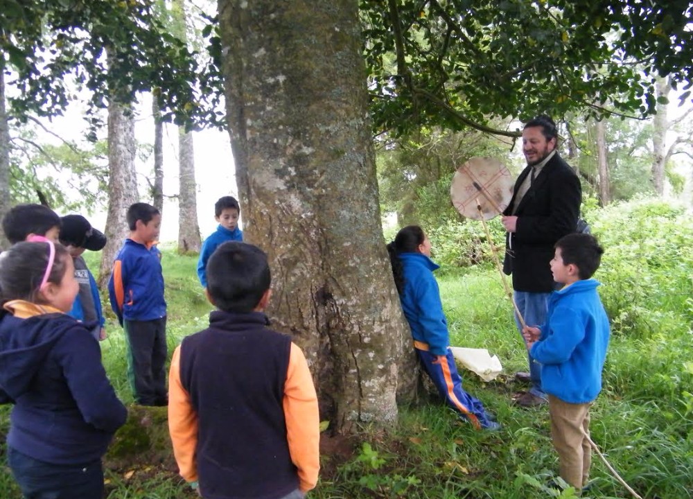 Escuelas municipales de Paillaco preparan diversas actividades para celebrar el We Tripantu