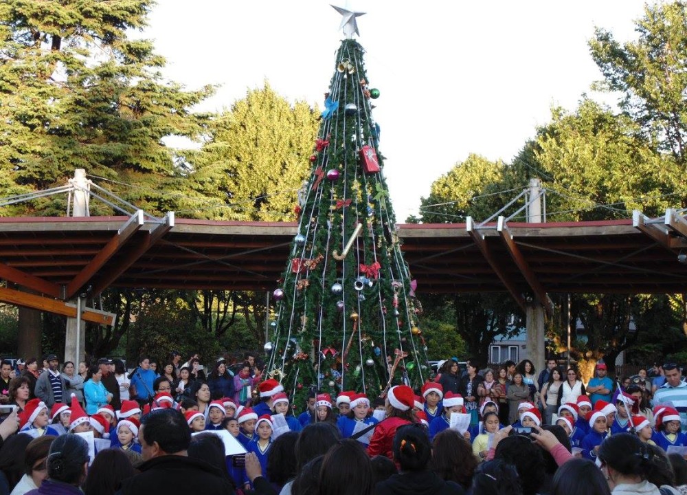 Municipalidad de Paillaco prepara actividad de encendido del árbol de Navidad