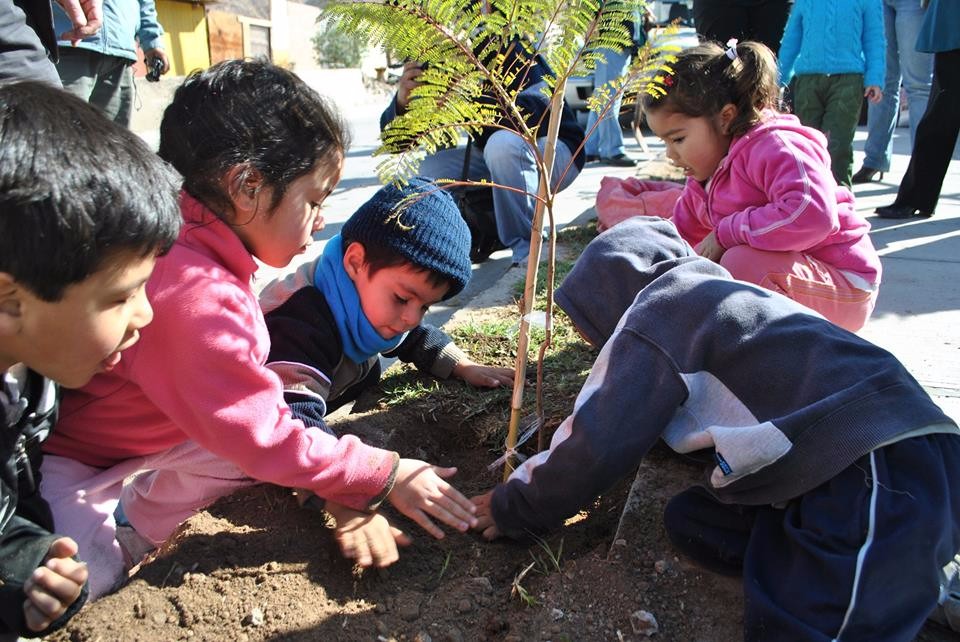 Estudiantes del Liceo de Paillaco invitan a participar de Campaña de Arborización