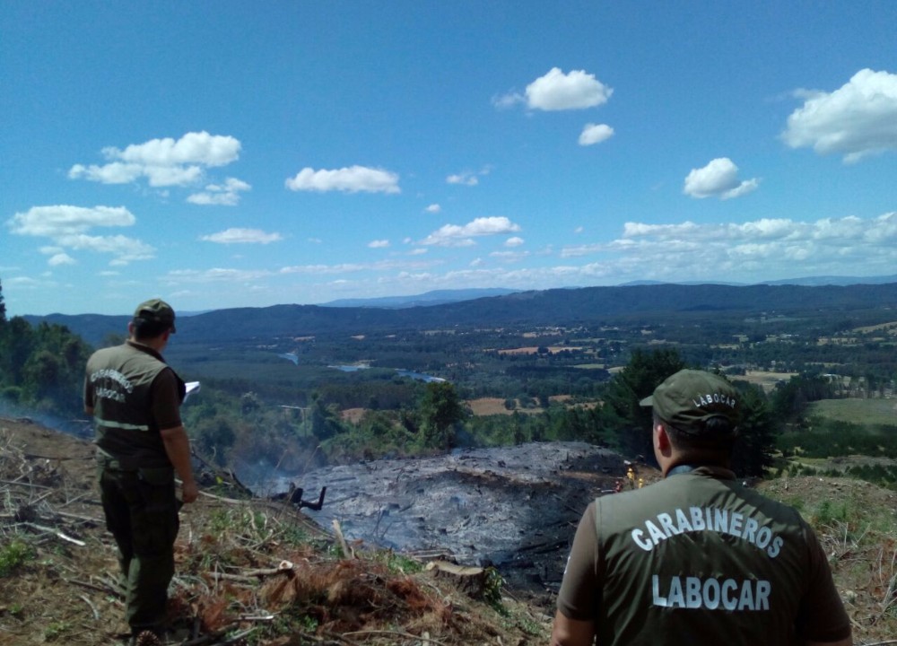 Investigarán posible intencionalidad en incendio forestal de cerro San Ambrosio